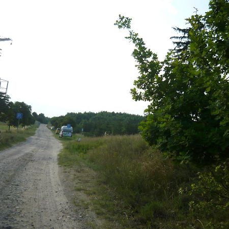 Schoene Wohnung Nossentiner Hütte Kültér fotó